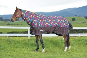 Sales Rugs - Weatherbeeta Original 1200 Combo Heavy