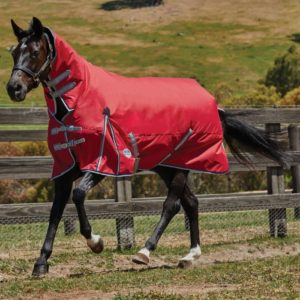 WEATHERBEETA COMFITEC CLASSIC HEAVY COMBO NECK TURNOUT RUG