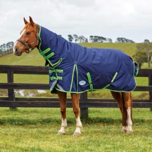 WEATHERBEETA COMFITEC PLUS DYNAMIC COMBO NECK HEAVY TURNOUT RUG