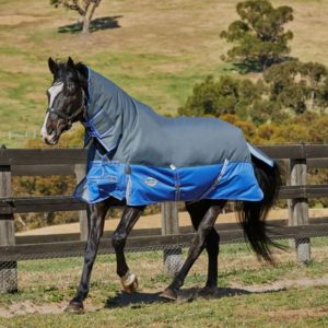 WEATHERBEETA COMFITEC PREMIER THINSULATE COMBO NECK HEAVY TURNOUT RUG